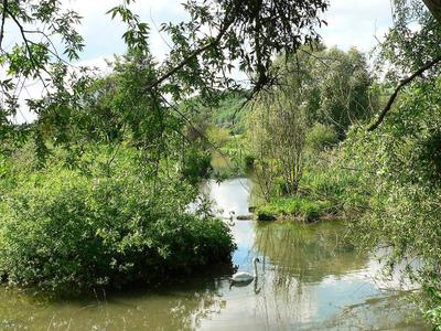 Ibis Maisons Laffitte