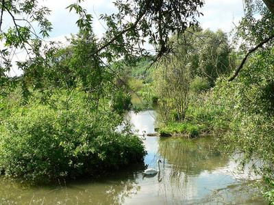 Ibis Maisons Laffitte