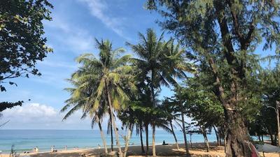 Surin Bay Inn