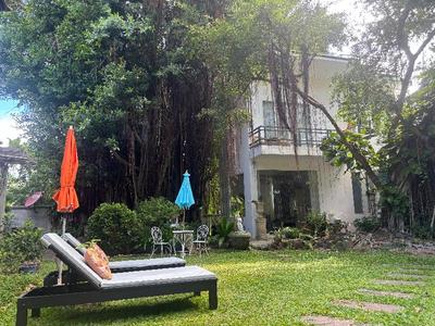 Banyan House Samui Bed and Breakfast Adults Only