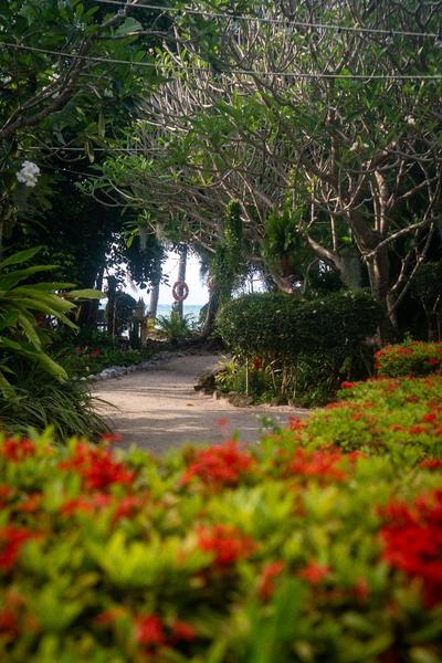 Phangan Beach Resort