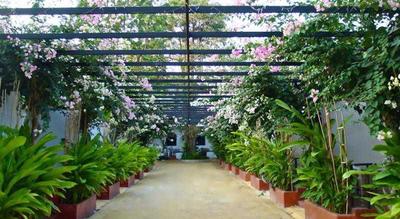 Amara Resort
