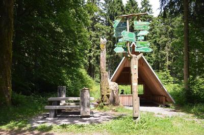 Auerhahn am Rennsteig Kurhotel