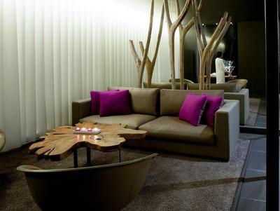 Best Western Plus Hotel  & Spa de Chassieu