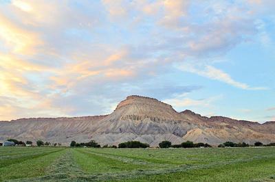 Holiday Inn Express Hotel & Suites Grand Junction