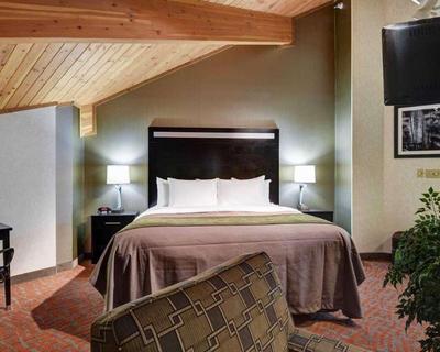 Comfort Inn Cleveland