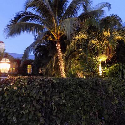 The Caribbean Court Boutique