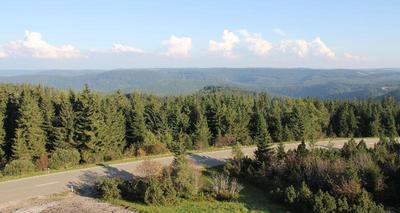 Wellness- & Nationalpark Hotel Schliffkopf BWSC