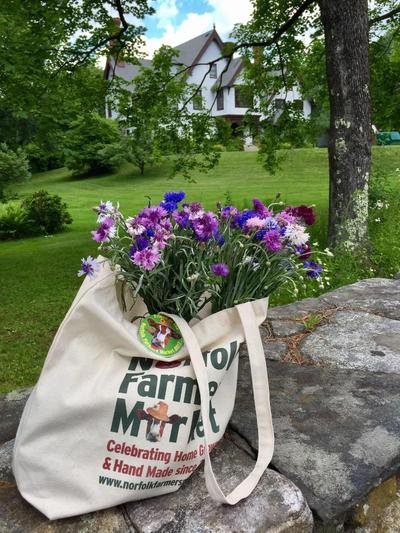 Manor House Bed & Breakfast