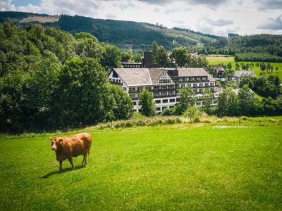 Sauerland Alpin Hotel