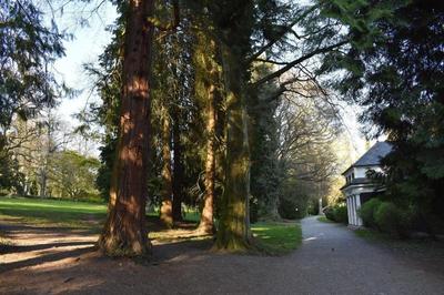 Lindenallee