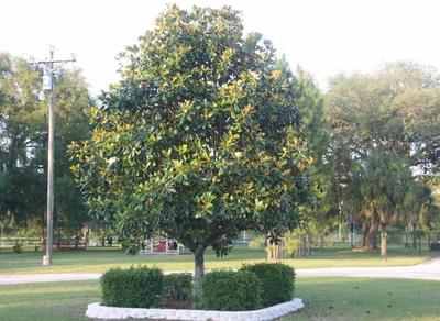 Deerwood Resort Motel & Campgrounds