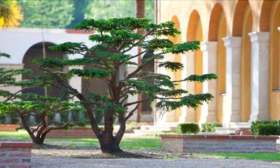 La Bastide