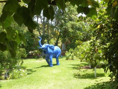 Villa Mandarine