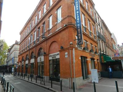 Ours Blanc Toulouse Centre
