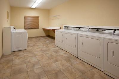 Woodland Suite