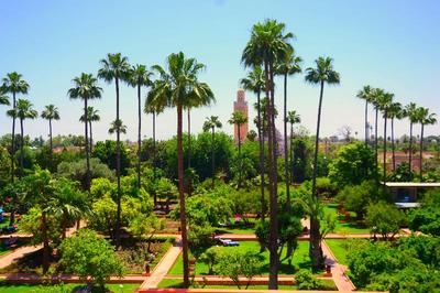 Medina Gardens - Adults Only - All Inclusive