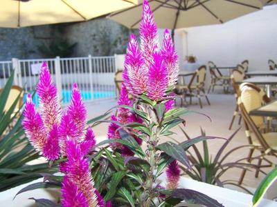 Inter-Hotel Auclair