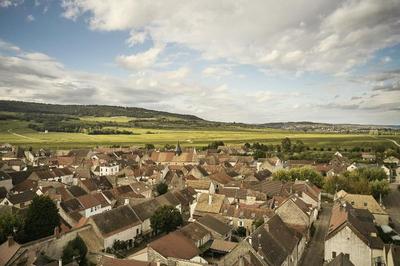Le Montrachet