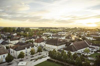 Le Montrachet
