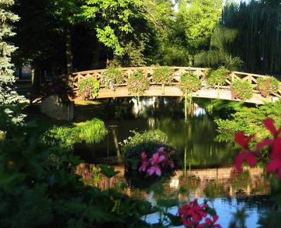 Les Saules Parc Spa