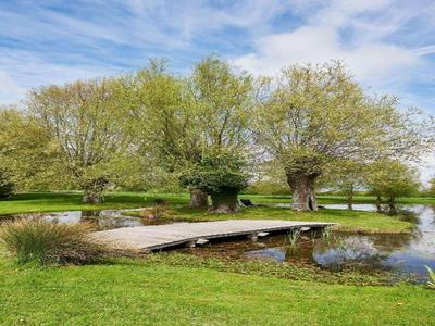 Domaine Les Saules