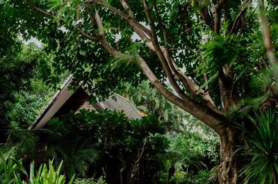 Tolani Southgate Villa Chiang Mai