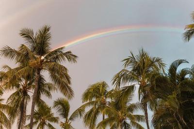 Ohia Waikiki Studio Suites