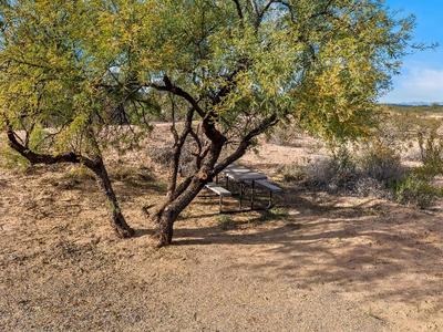 Rodeway Inn Benson AZ