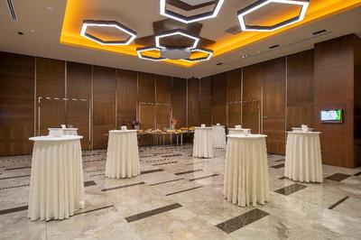 Holiday Inn Kayseri Duvenonu Hotel