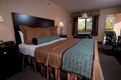 Fredericksburg Inn Suites