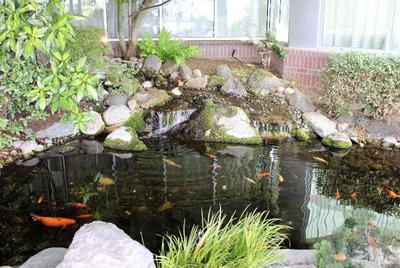 Medallion Inn and Suites
