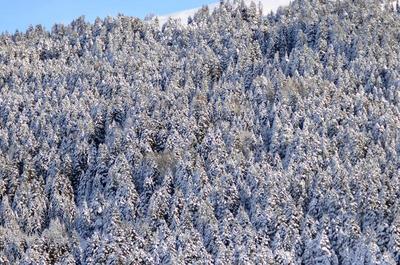 Bof Hotels Uludag Ski & Convention Resort