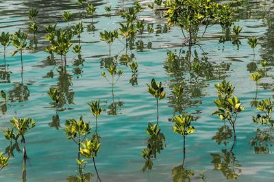 Amantra Lake View Resort