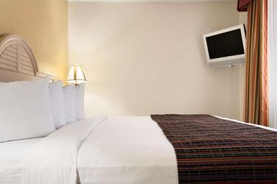 The Palms Inn & Suites