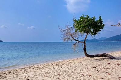 White Knot Koh Chang