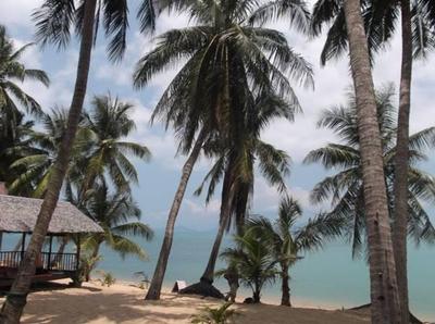 Palm Point Village