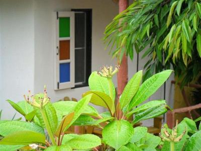 Khaolak Banana Bungalow
