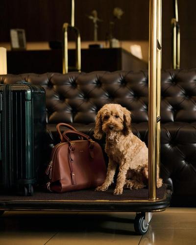 Melter Hotel Apartments