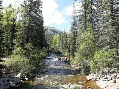 Holiday Inn Express Durango DTWN-Animas River