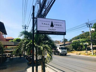 Tall Tree Kata Phuket