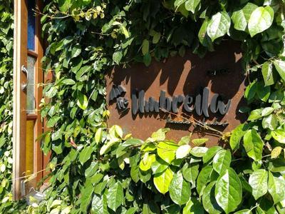 The Umbrella House