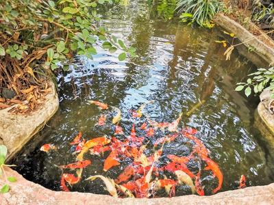 Ruen Mai Horm Resort