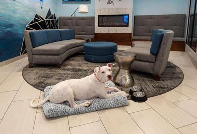 Best Western Plus Wausau Tower Inn