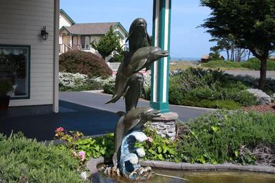 Emerald Dolphin Inn