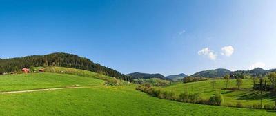 Fuxxbau Fischerbach