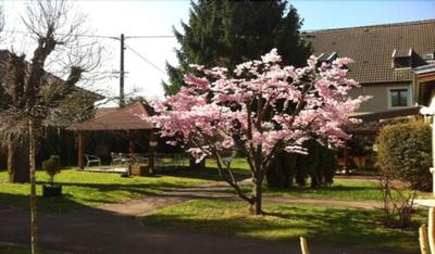 Hotel Les Tilleuls