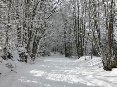Auberge du Château de Joux