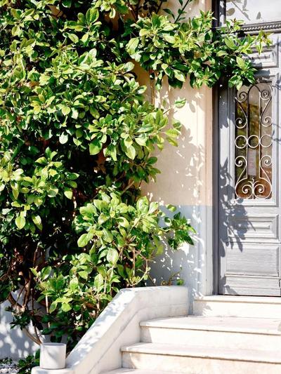 Hôtel Lemon