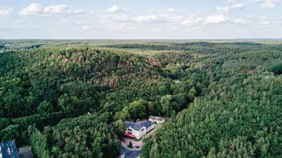 Historische Spitzgrundmühle Coswig